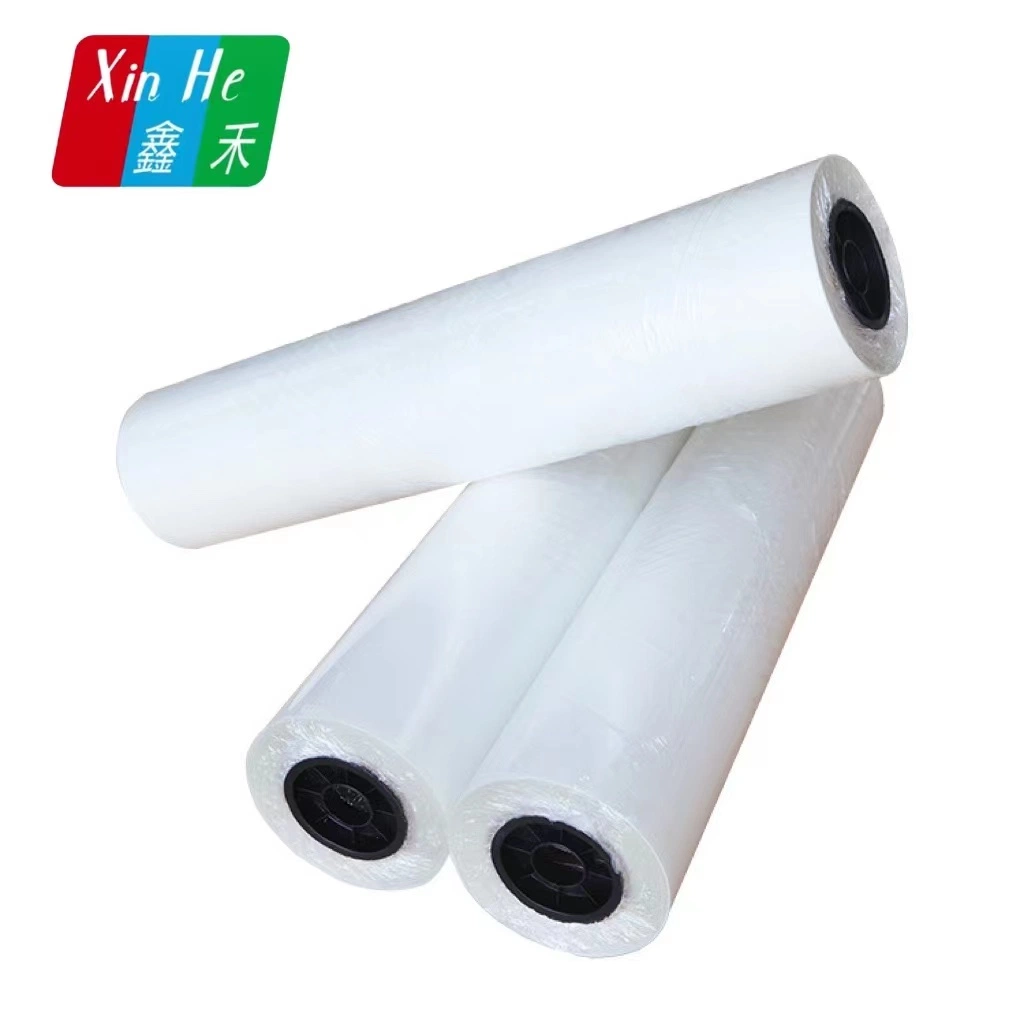 Heat Transfer Rolling Pet Film Image Printing Size Can Be Customized Screen Printing Film