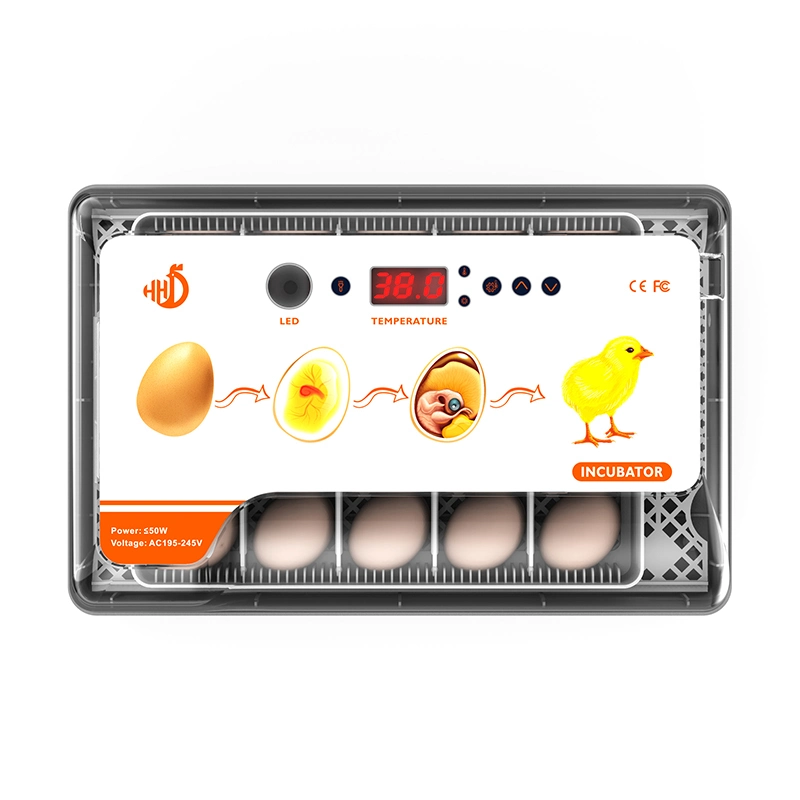 Hhd 20 Eggs Automatic Quail Egg Poultry Incubator Temperature Controller Thermostat for Sale