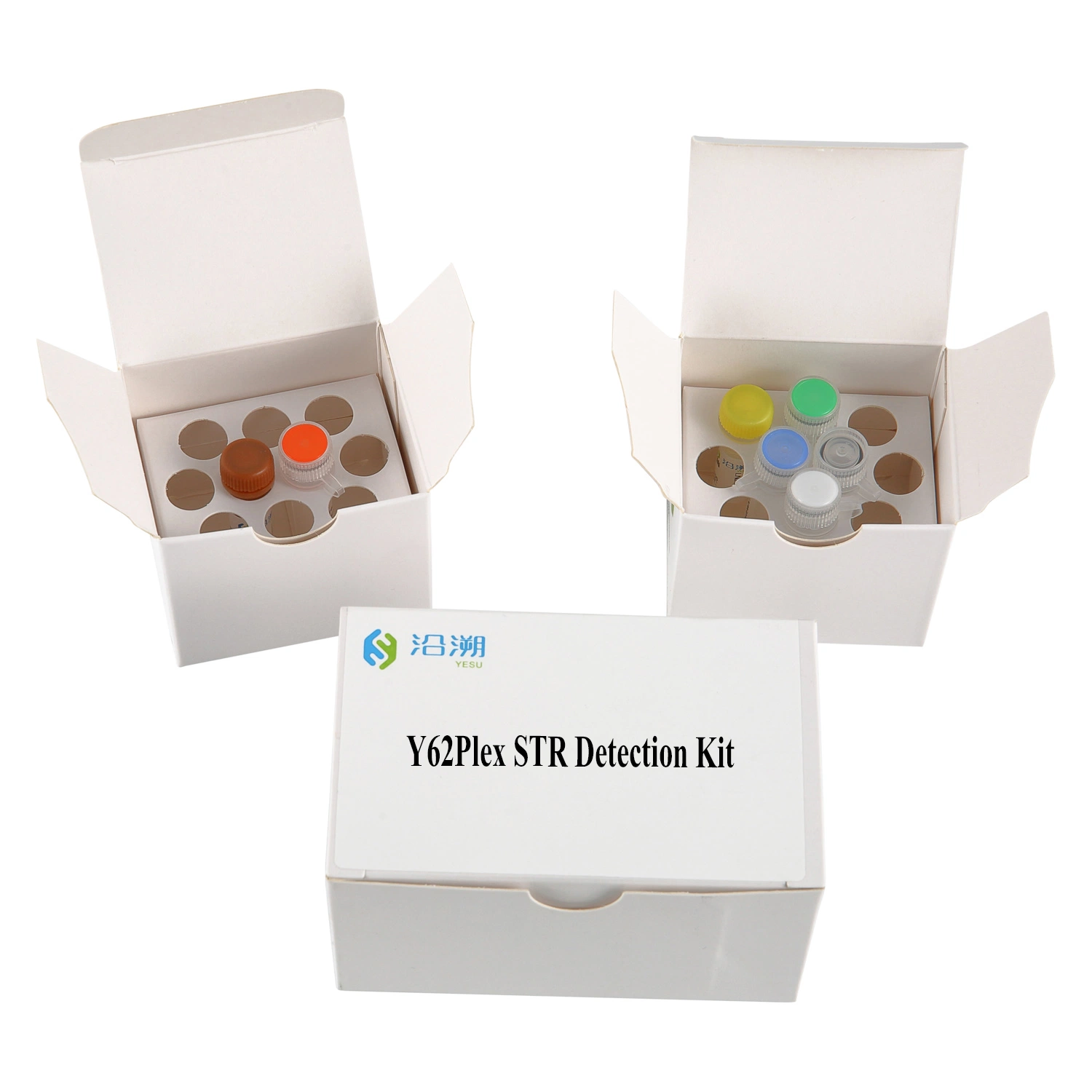 62 Loci Y-Chromosome Test Kit /Str Detection Kit/ Forensic DNA Kit /Ancestry DNA Testing/ Eight Color Flouresecent PCR Reagent