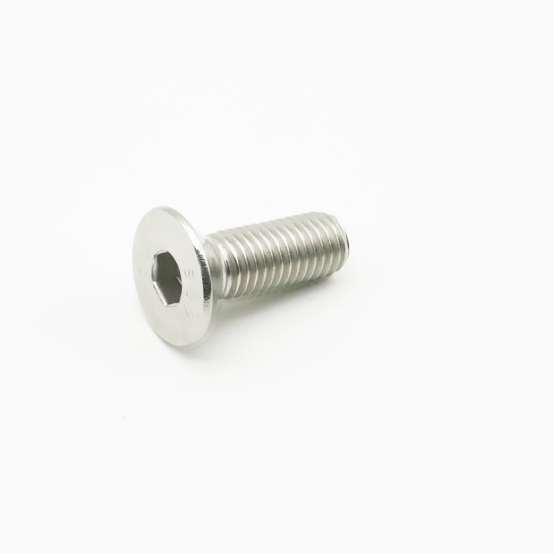 Hand Industrial Stainless Steel 304 316 M6 M8 M10 Self Tapping Screw Furniture Screw /Chipboard Screws/Wood Screw