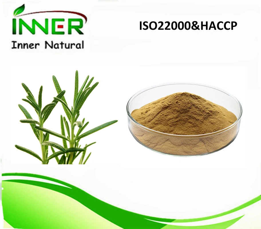 Natural Antioxidant Rosemary Extract Carnosic Acid Rosmarinic Acid Ursolic Acid Feed Additive