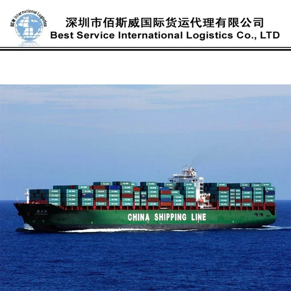 Ocean Freight Forwarder Sea Logistics Shipping From China to Myanmar, Yangon, Thailand, Bangkok/Laem Chabang, Laos DDU/DAP/DDP