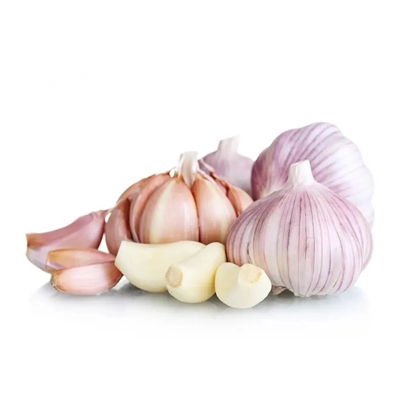 Hybrid Garlic Seed Single Garlic Turkey