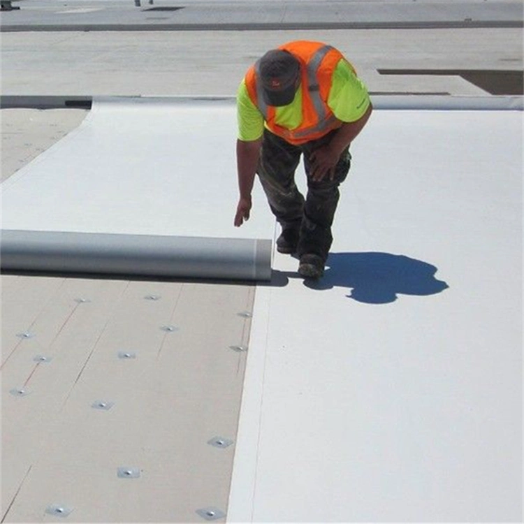 Waterproof Membrane Sheet for Roofing with Fabric Reinforcement