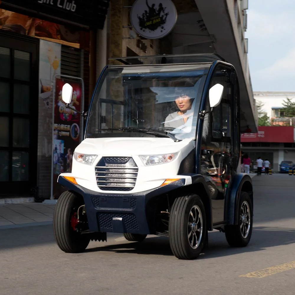 Chinesische Herstellung 2 Türen 2 Sitzer Low Speed Electric Smart Mobiles Batterieauto