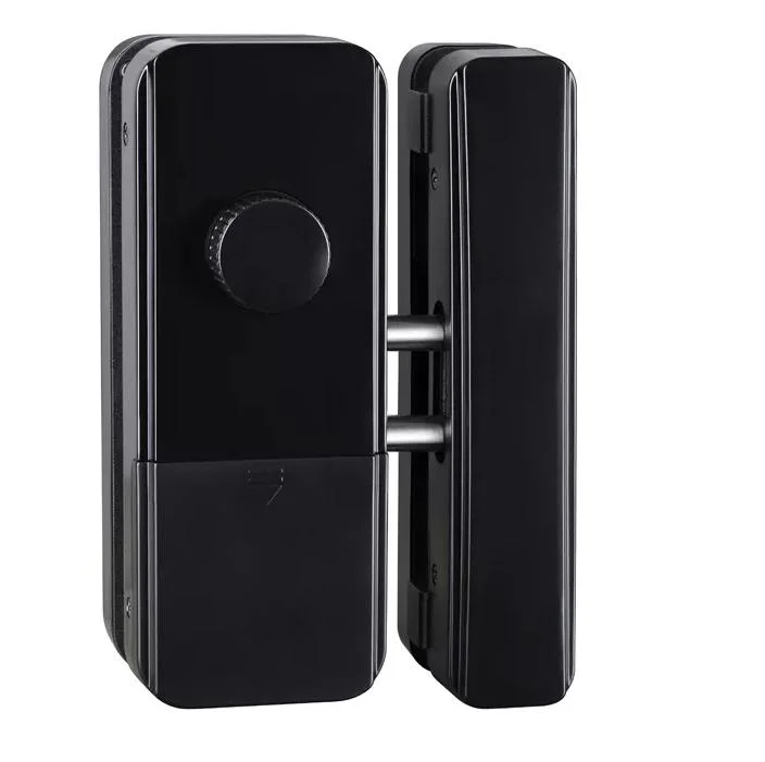 Fingerprint Recognition Lock WiFi Remote Control with IC Card Password for Frameless Glass Door Push or Sliding Door Smart Lock Ttl APP