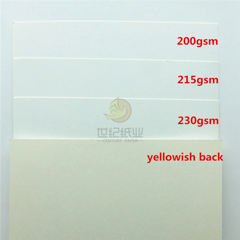 300GSM Ningbo Folding Box Board/C1s Fbb/Ivory Board