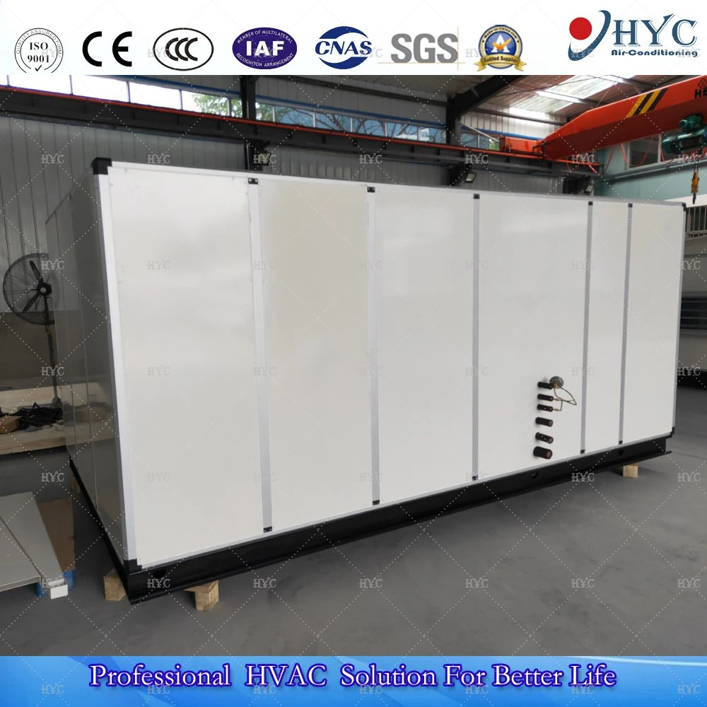 Heat Recovery Fresh Air Handling Unit/Ahu/Combined Air Conditioner Cooling System