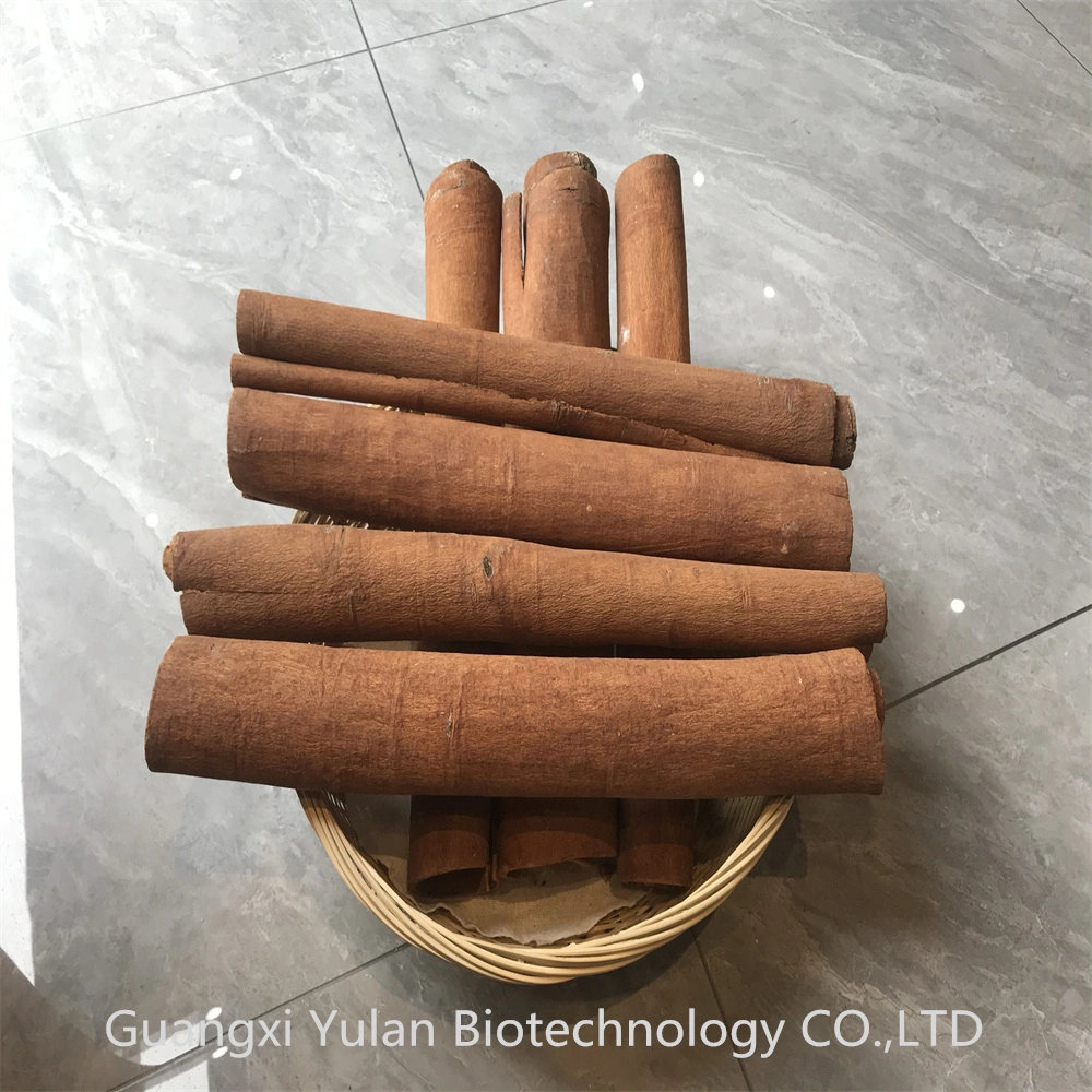 Sun Dried Natural Cinnamon Bark Plant Cassia Tube Hot Sale Spice