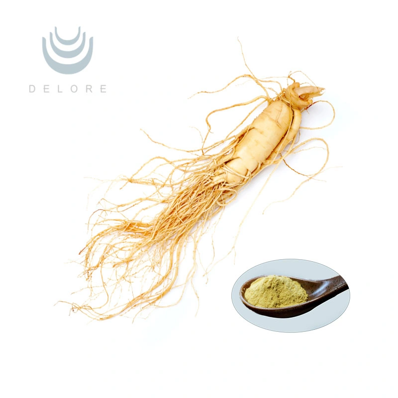 100% Natural Siberian Ginseng Extract Powder to Strengthen Immune System