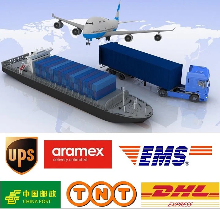 Ship to UK USA Canada Air Sea Freight Service Forwarder