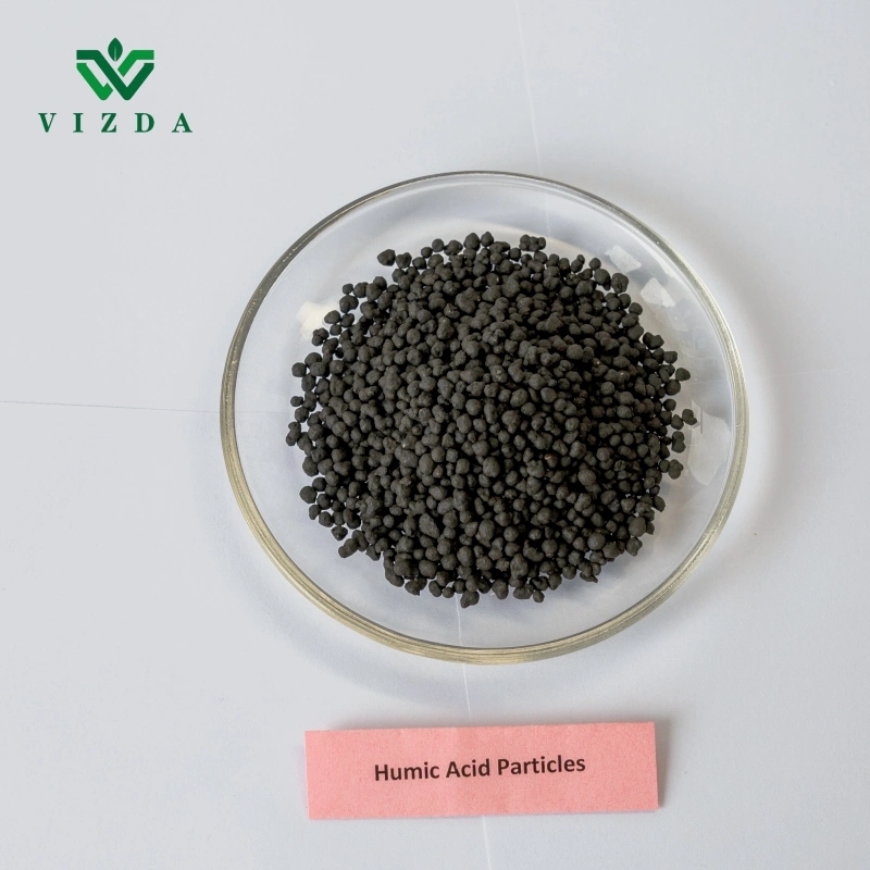 Organic Fertilizer Humic Acid Ball Base for Plant Use