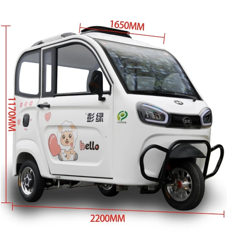 3 Wheels Mini Chinese Electric Scooter for Adult