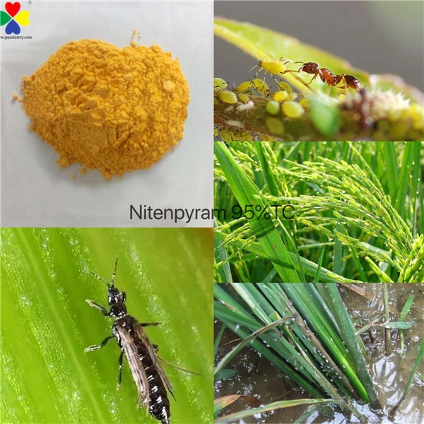 Factory Supply Top Quality Nitenpyram Insecticide 95%Tc Powder