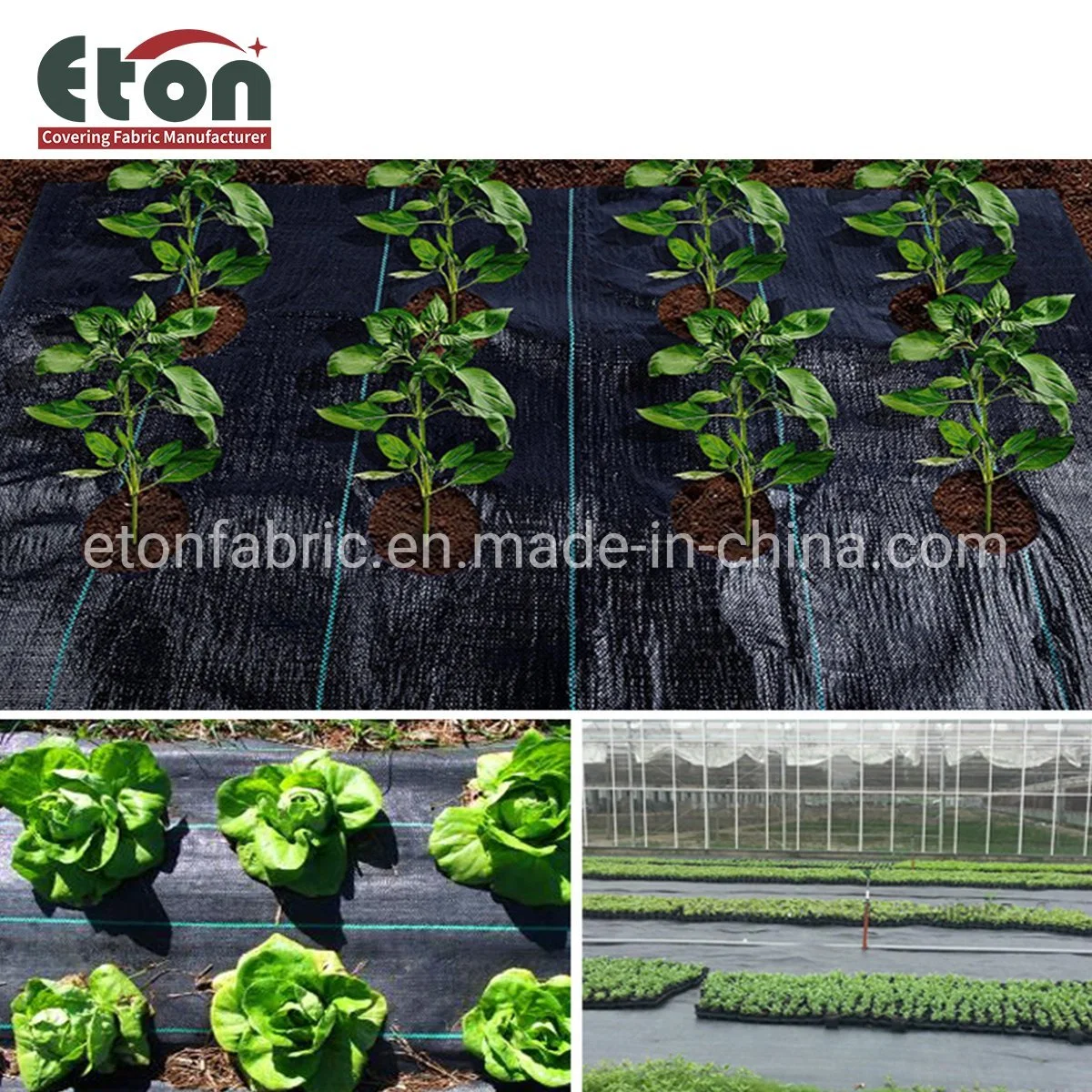 PP Woven Plastic Ground Cover for Agriculture