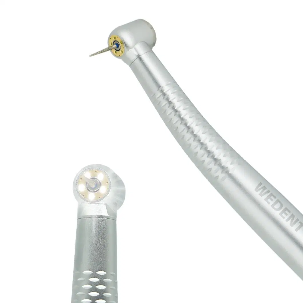 Wdent Oral LED Handpiece Cricle Light High Speed Handpiece 2/4 Holes