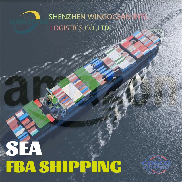 International Sea Freight Shipping Company with Freight Forwarder