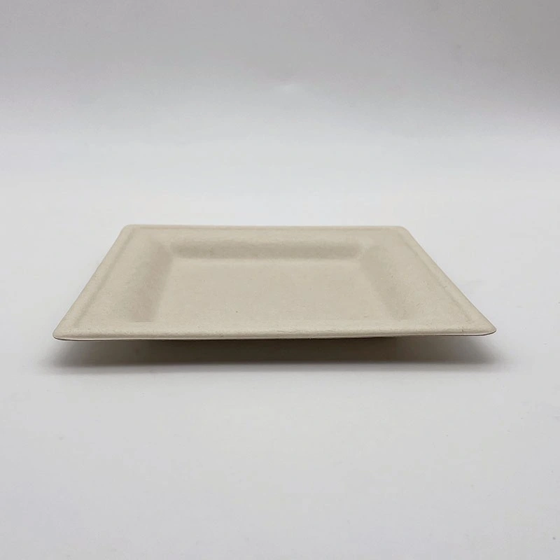 Pulp Middle Size Oval Plate Food Serving Tray Disposable Products China