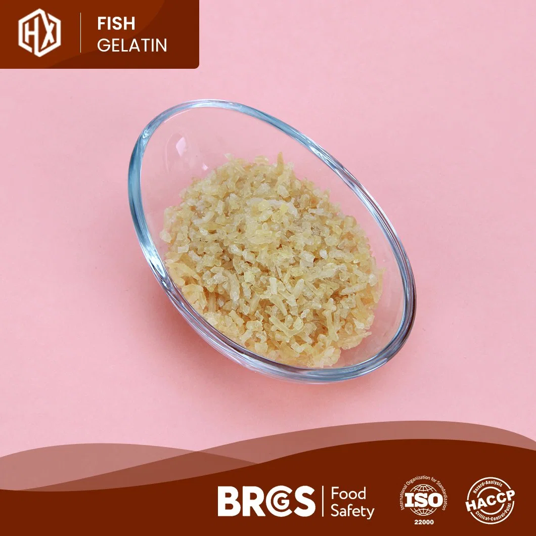 Haoxiang Free Sample Cod Fish Skin Gelatin China Food Grade Cod Fish Skin Gelatin Factory Good Rationality Performance Halal Cod Fish Skin Gelatin