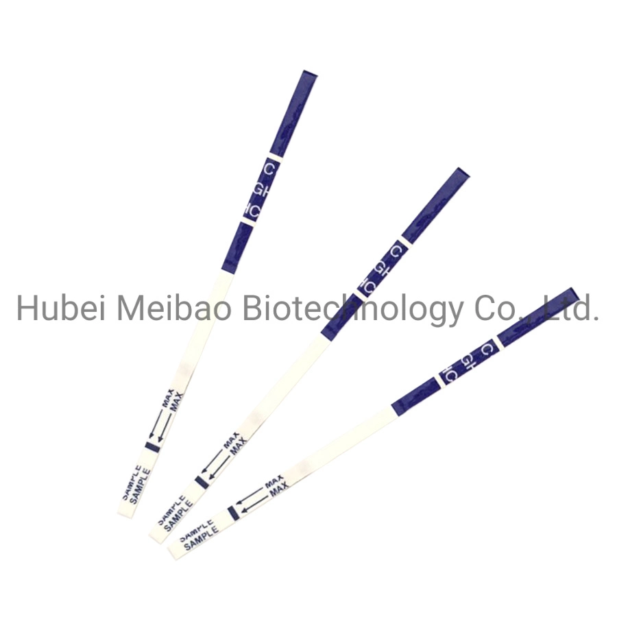 Medical HCG Pregnancy Poct Test Equipment for Home and Hospital Use