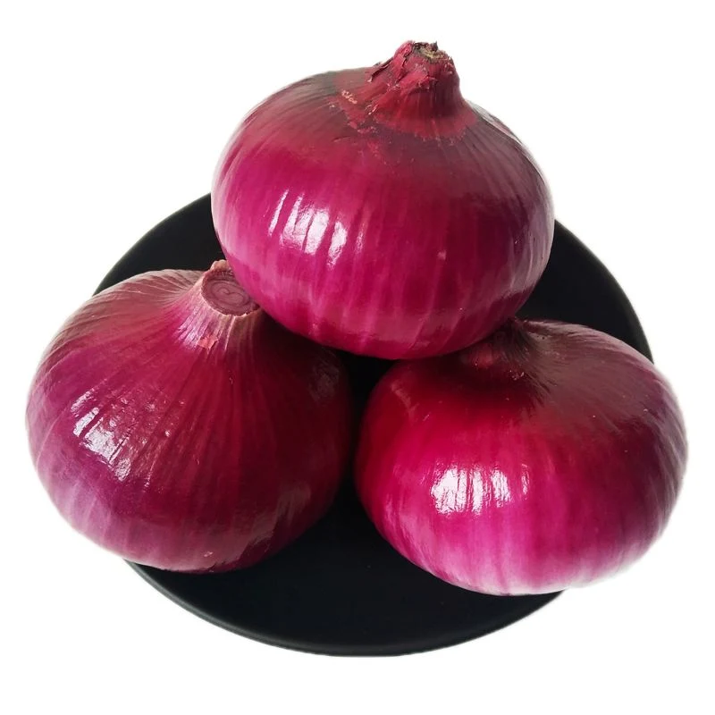 Rote Zwiebel Ingwer Knoblauch Obst frisches Gemüse Zwiebel mit ISO HACCP Zertifizierung Mesh Bag 5kg 10kg Großhandel