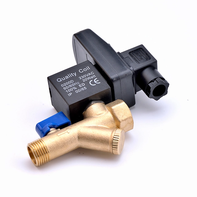 1/4'' 1/2'' Inch NPT Inlet 1/2'' Inch NPT Outlet AC220V AC110V Automatic Drain Valve for Air Compressor