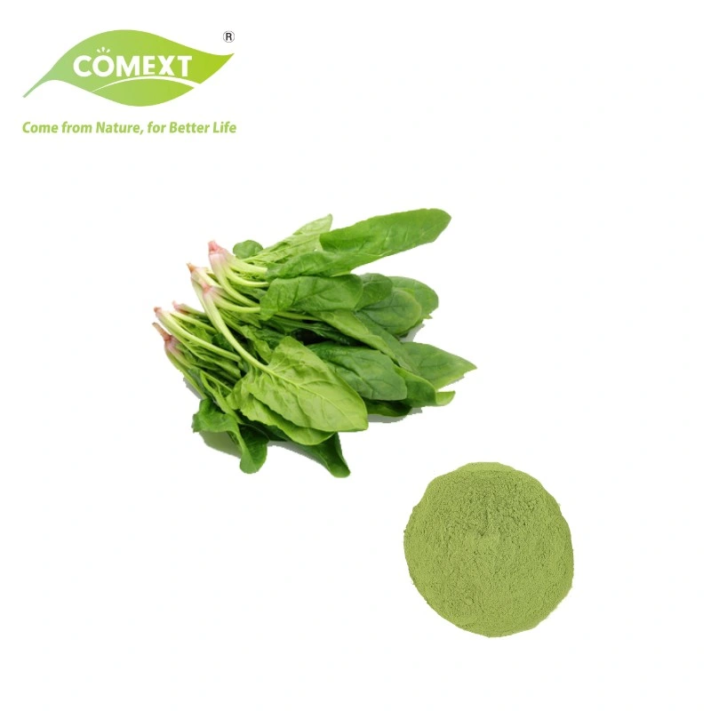 Comext Best Nutrition Supplement Relieve Cough Plant Dried Spinach Chaya Leaf Powder