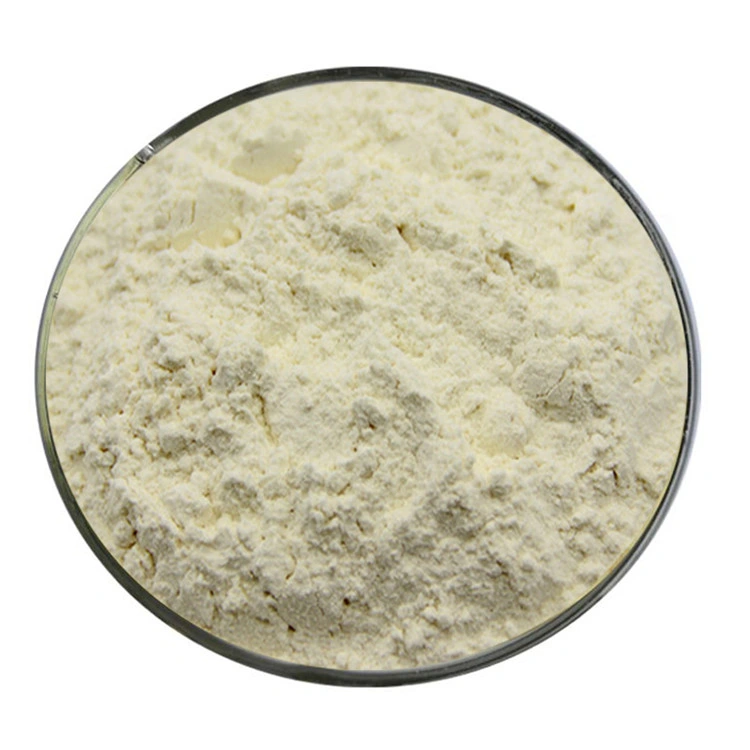 100% Pure Panax Notoginseng Root Extract Powder 80% Notoginsenoside