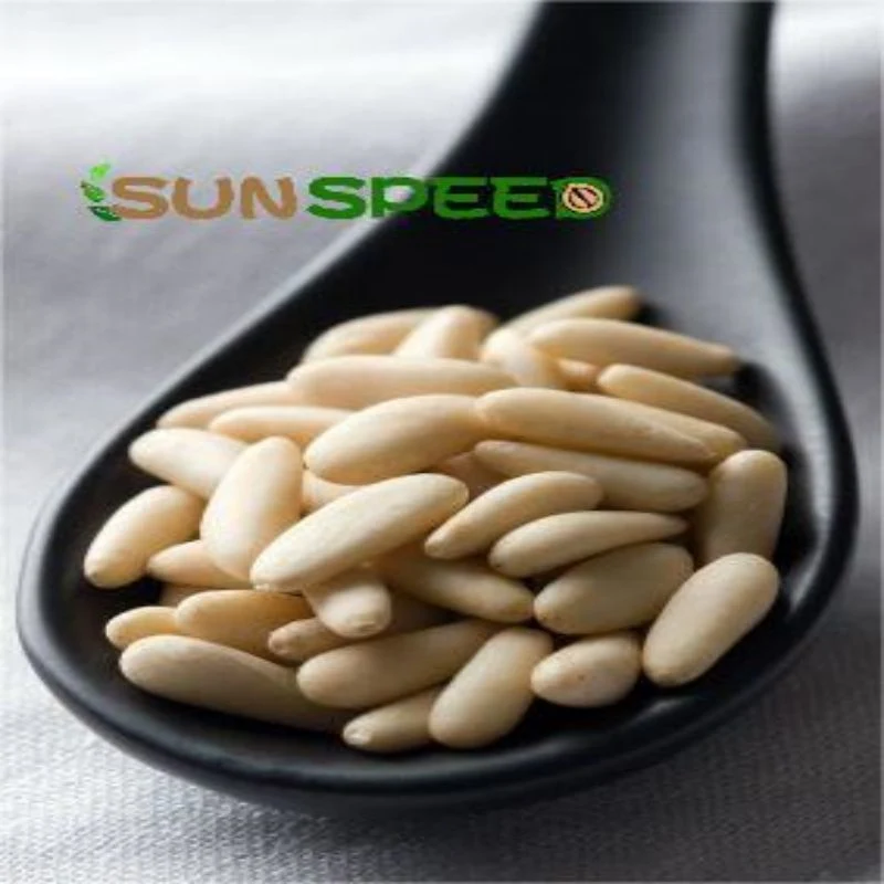 China Suppliers Wholesale/Suppliers New Crop Top Quality Pine Nuts Healthy Food Dried Cedar Pinenut