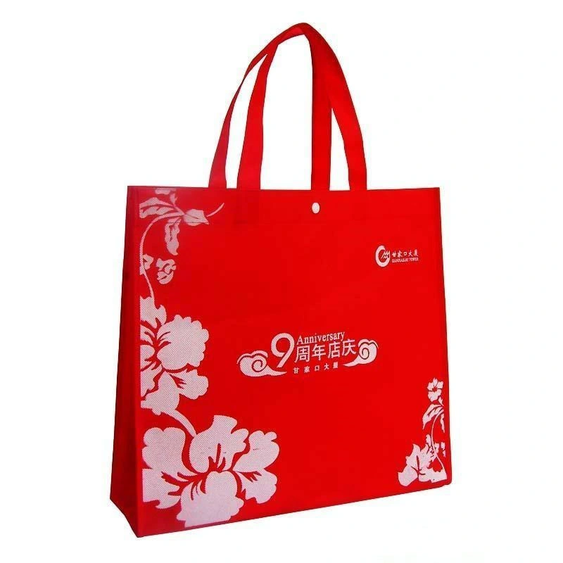 Multi Compartment Promotional Advertising Non Woven Bottle Bag