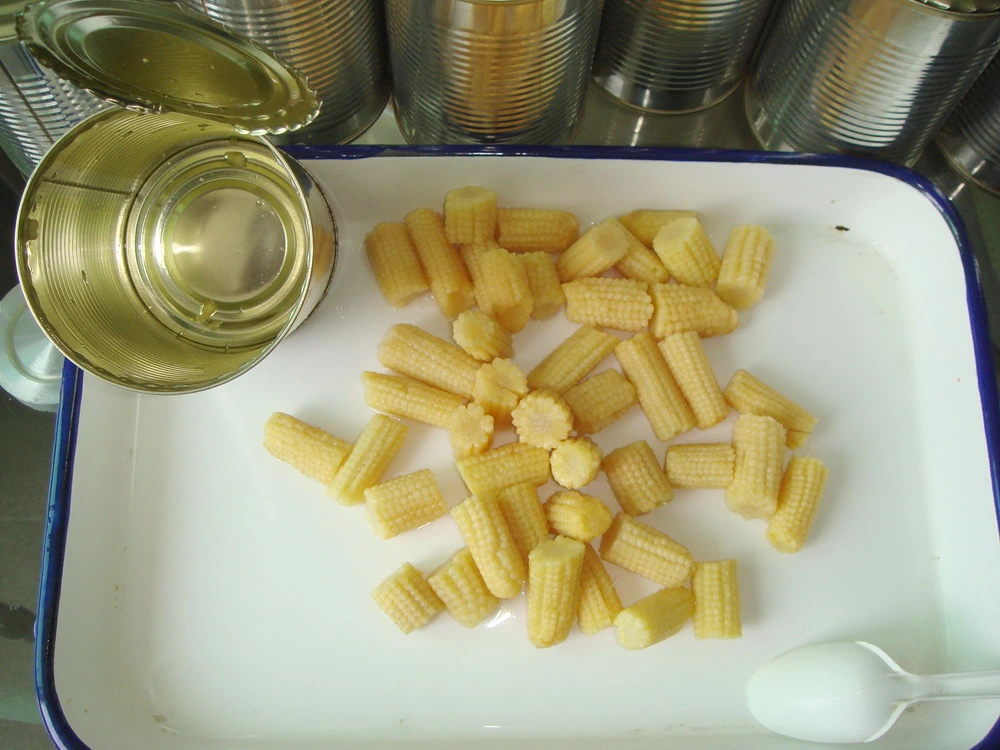 425g Canned Baby Corn Cut by Cheap Price