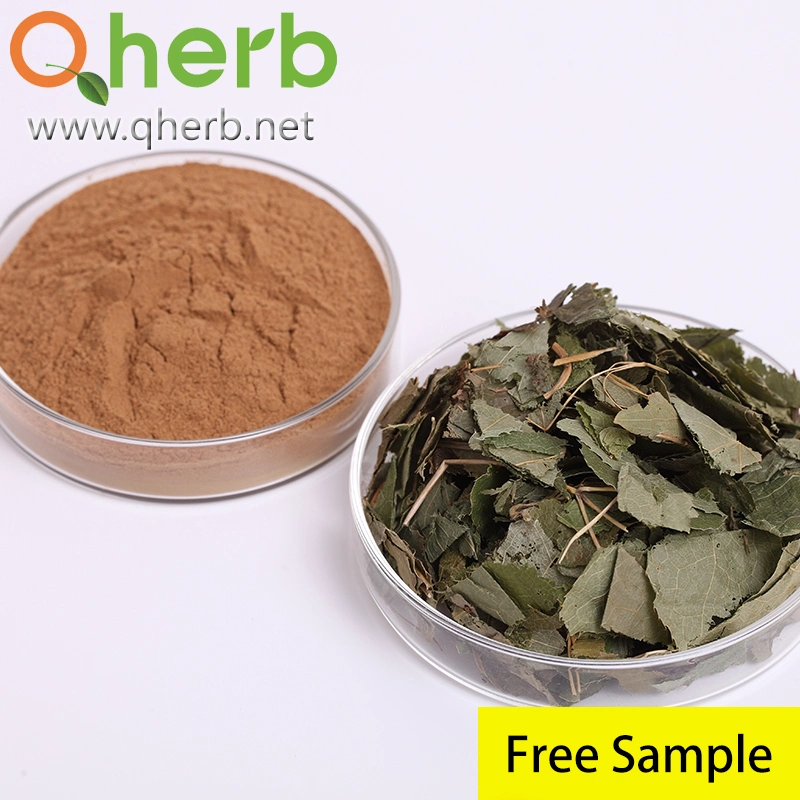 Factory Supply Herb Extract Epimedium Flavonoid