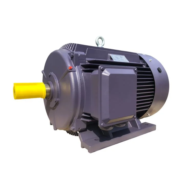 2p-4p 415V 440V Low Voltage AC Electric Motor 60kw Induction Motor Price