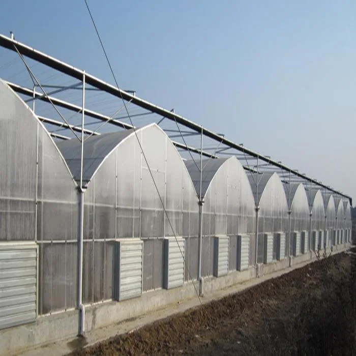 Intelligent Multi Span Poly Carbonate Sheet Greenhouse for Planting