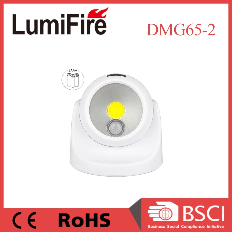 3W COB LED Night Sensor Motion Indoor Night LED Auto Lamp