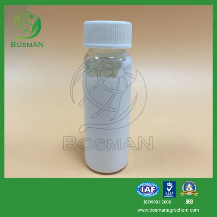 High quality pesticide Chlorothalonil 720g/L SC safety efficiently