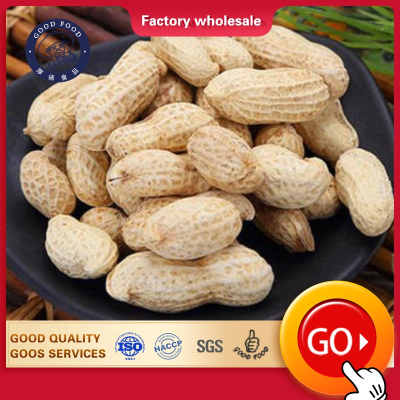 Natural Chinese Original Flavor Salted Taste Roasted Peanuts in Shell