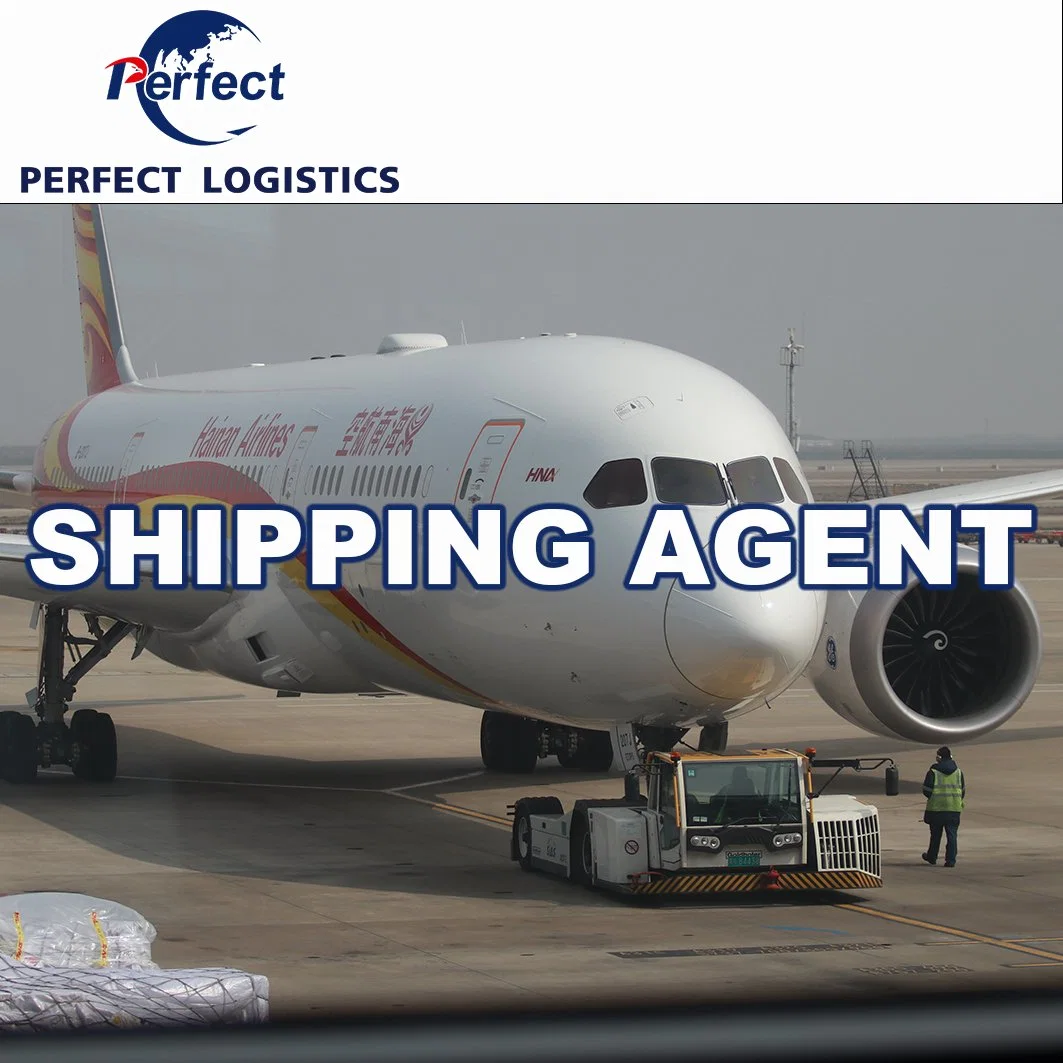 Sea Shipping Services From China to Poland/Germany/France