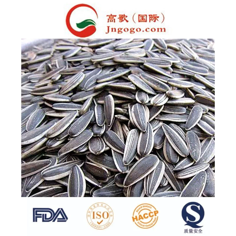 Top Sell Sunflower Seeds Sunflower Kernels 361/363/601