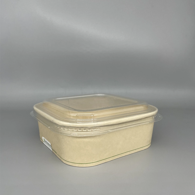 New Arrival PE/Biopbs/PLA Coating Bamboo Fiber Salad Bowl Noodle Paper Box Container