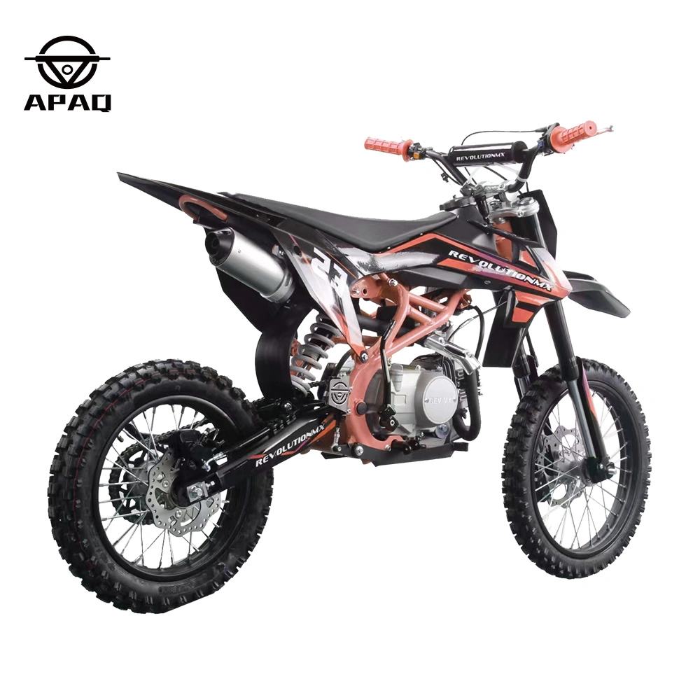 Apaq High Quality 125cc Gasoline Dirt Bike 4 Stroke Motorcycle with CE