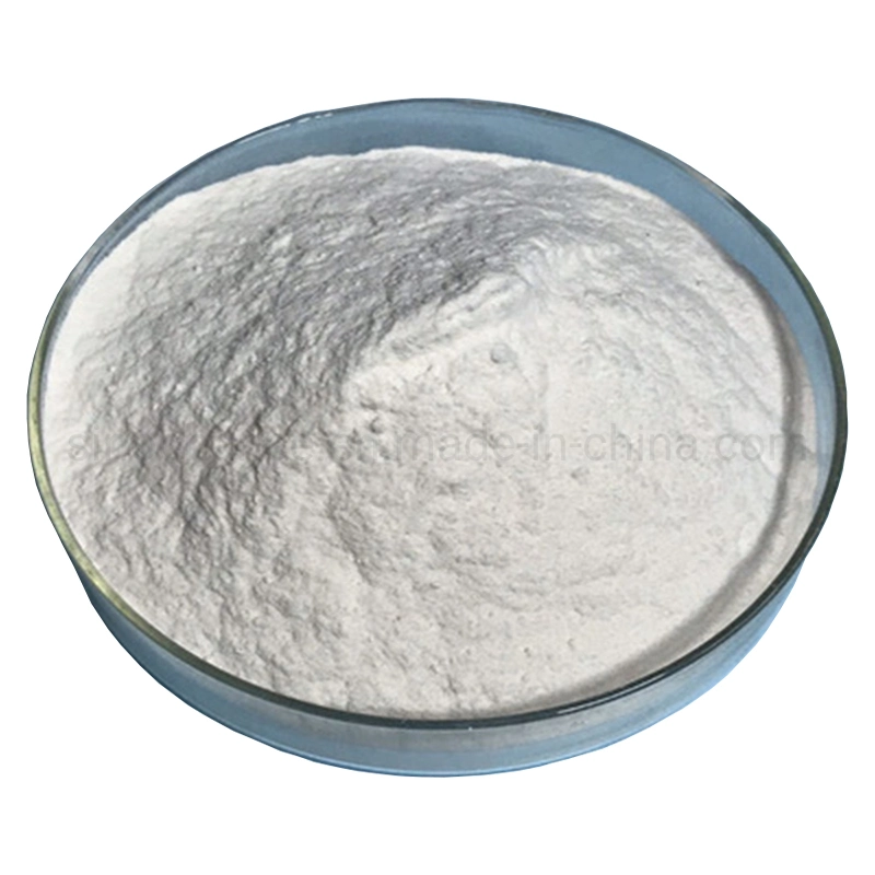 Building Materials HPMC Hydroxypropyl Meethyl Cellulose for Coating Additive