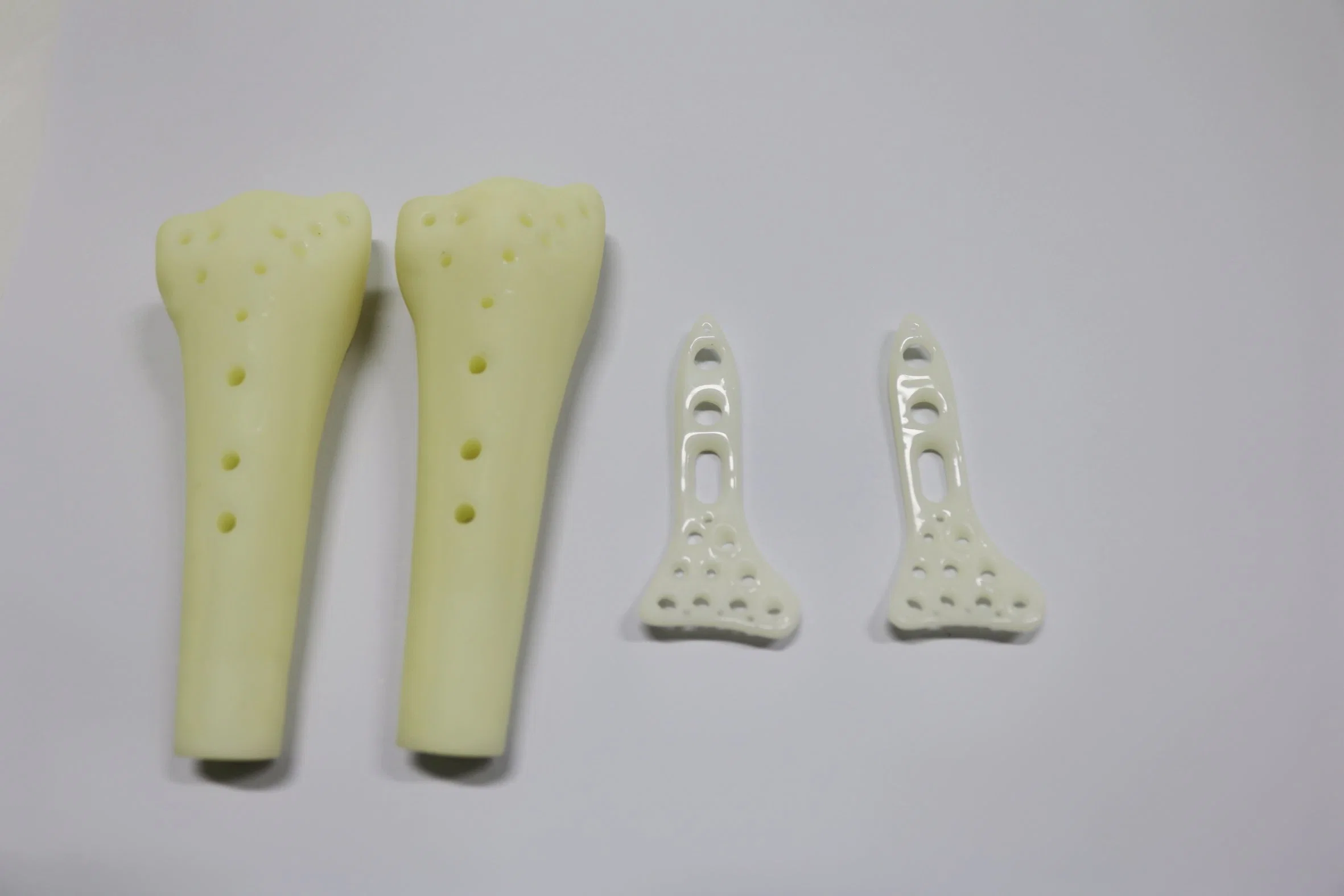 OEM SLA 3D Printing Service Bone Model Medical Exhibition Model Custom Rapid Prototype