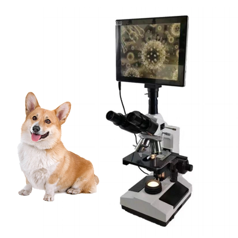 Preço do Microscópio Biológico Digital Veterinário de Laboratório Médico Veterinário Portátil Profissional com Câmera Trinocular.