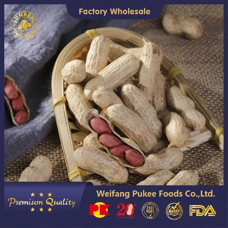 China Raw Red Skin Peanut in Shell/Superior Quality/ Vacuum Inner Bags