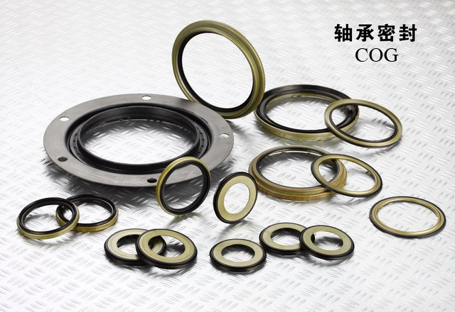 Auto Part Rotate Tc Sc Y Automobile Rubber Part Oil Seal Customize