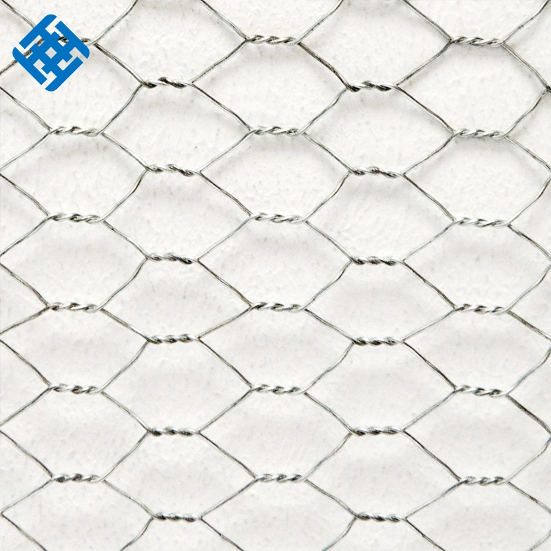 China Cheap Galvanized Hexagonal Wire Mesh for Dog/Bird Cage Fencing Gates Trailer Frame