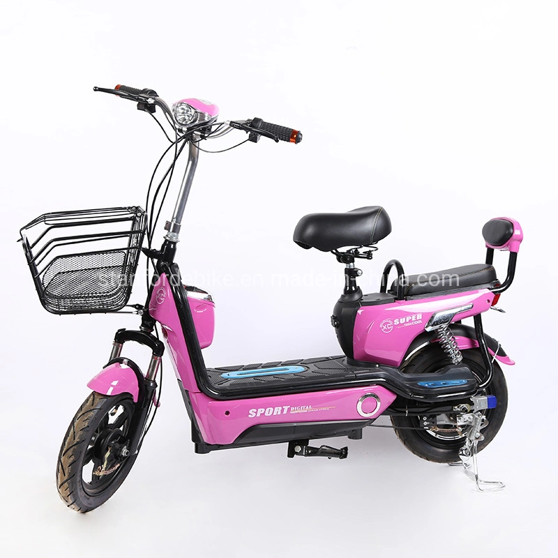 Electric Dirt Bike 48V Electric Cycle Electric Bike Wholesale/Supplier