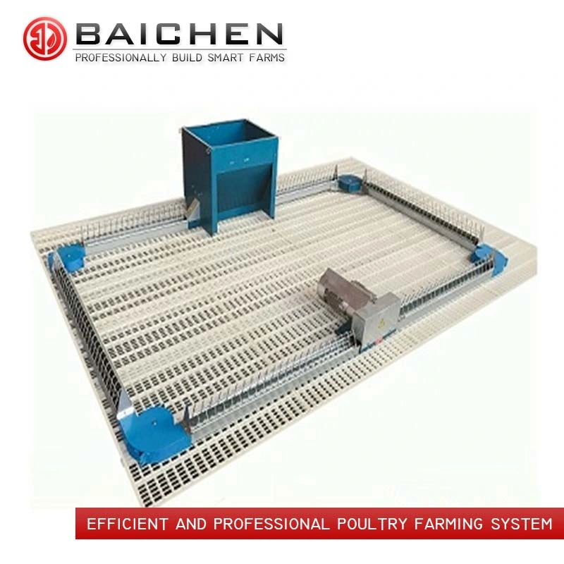 Automatic Poultry Breeder Chicken Feeder Farm Chain Feeding System