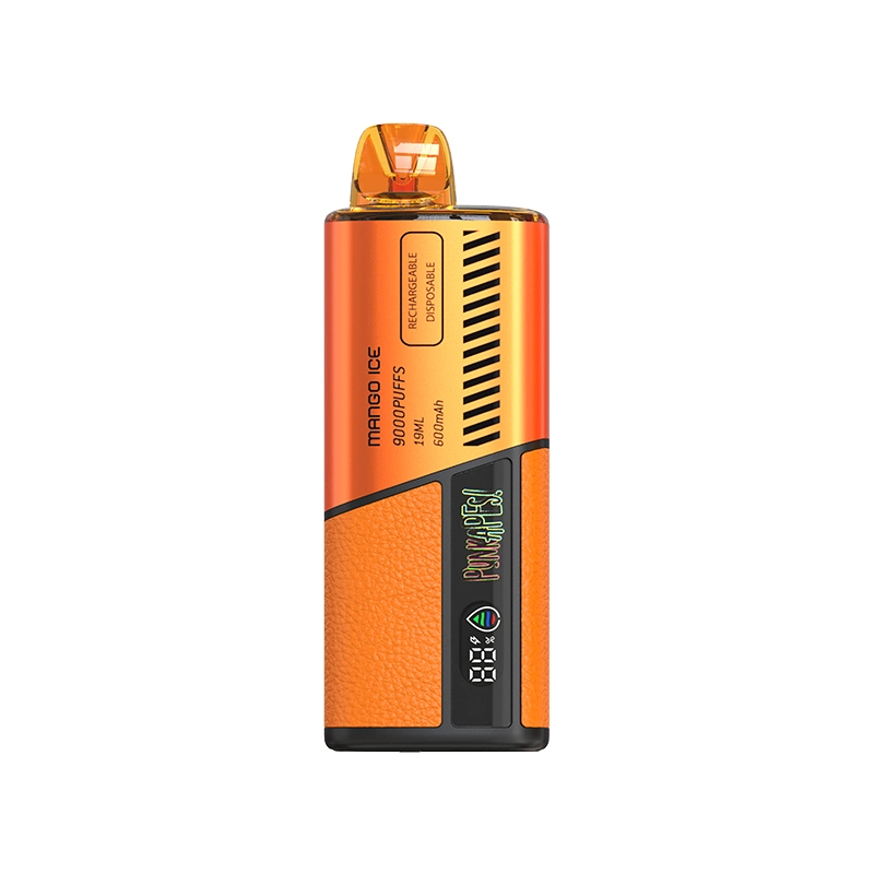 Punkapes 9000 Puffs 2023 Nouveau Vente à chaud Vape en cuir jetable